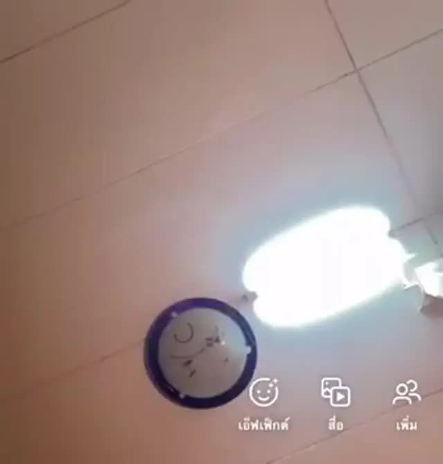 D3TNVGRJ (1/1)