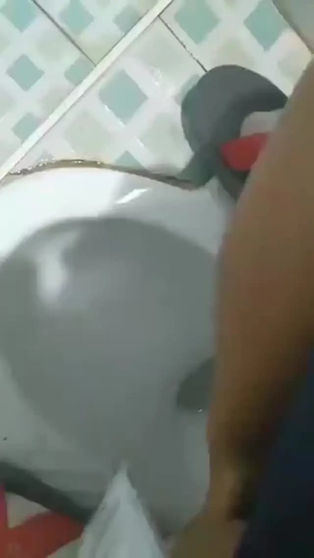 3OYV3AJZ (7/10)