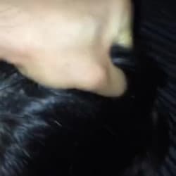 Fucking my gf's bestfriend (2/14)