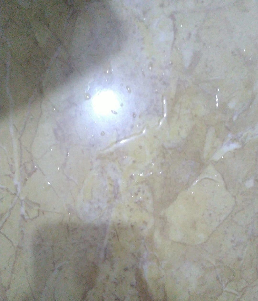 Chella Dini part 3 (143/288)