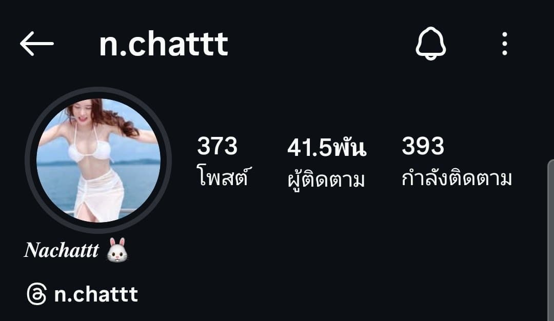 N.chattt (90/99)