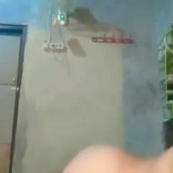 [RARE] SAIZNEKO 3 (98/136)