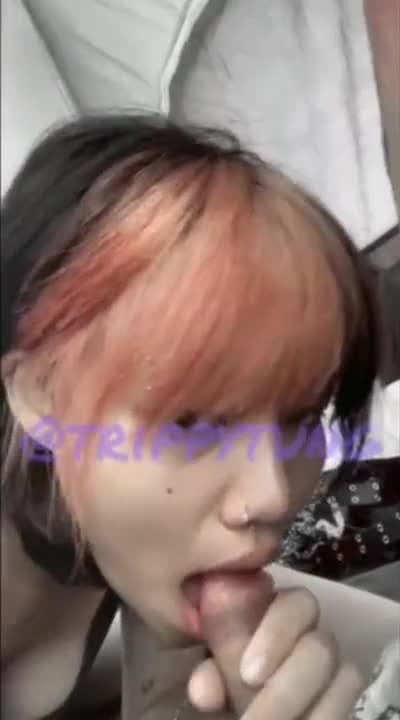 trippytung (74/172)