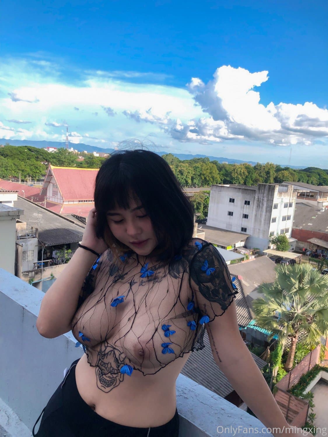 mingxing (67/203)