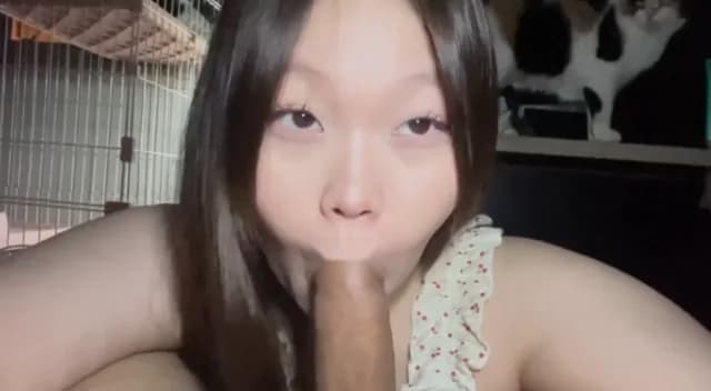 คลิปหลุดใหม่ natnpnicha สาวอวบอึ๋ม โม๊กควยแฟนดูดจนหัวควยแดง แอ่นให้เย็ดท่าหมาล้วงหีเบ็ด ซอยรัวเย็ดสดแตกในคาหี (1/1)
